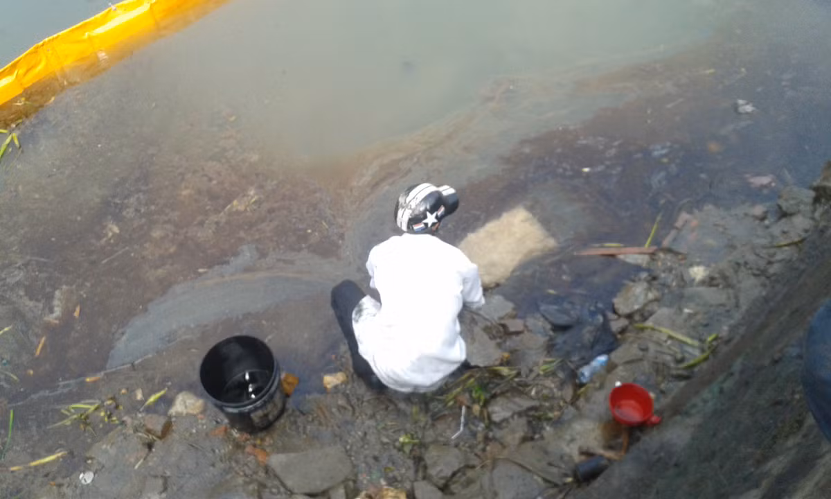 Nguyên nhân vụ việc trên được xác định do đường ống dẫn hóa chất ngầm Công ty hóa chất Soft - SCC bị vỡ. Loại hóa chất bị thất thoát được xác định là Linear Ankyl Benzen (LAB), một trong những sản phẩm từ dầu mỏ do công ty này nhập khẩu của công ty FUCC từ Đài Loan. Đây là dung môi phục vụ cho việc sản xuất bột giặt.