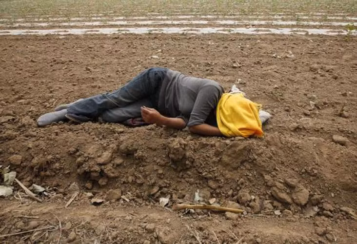 Một nữ nông dân tranh thủ nghỉ ngơi ngay trên cánh đồng ở tỉnh Hà Bắc, Trung Quốc ngày 24/5.