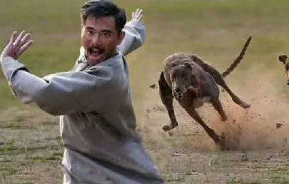 Tam linh cua loai cho khien nguoi ta phai ne phuc-Hinh-4