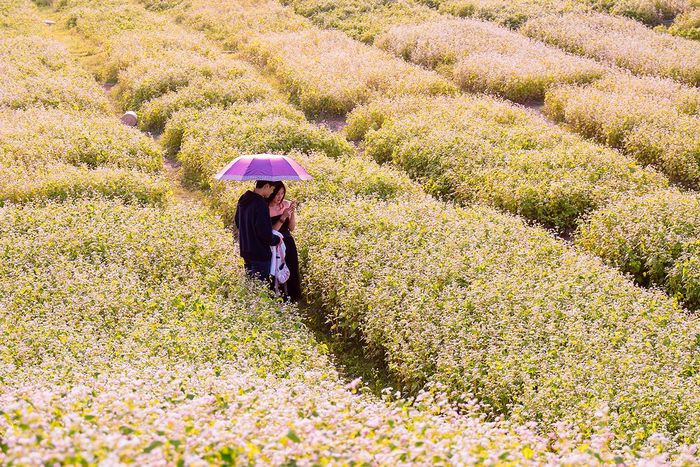 Thời điểm lý tưởng để chụp ảnh tại đây là sáng sớm hoặc chiều muộn, ánh sáng trong những khung giờ đó sẽ cho bạn các tấm ảnh đẹp hơn