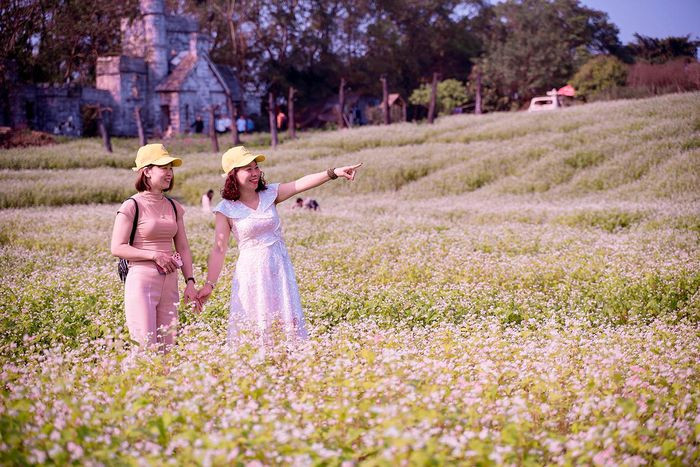 Nhiều người thực sự bất ngờ, không nghĩ rằng Hà Nội lại có một cánh đồng hoa đẹp như thế này