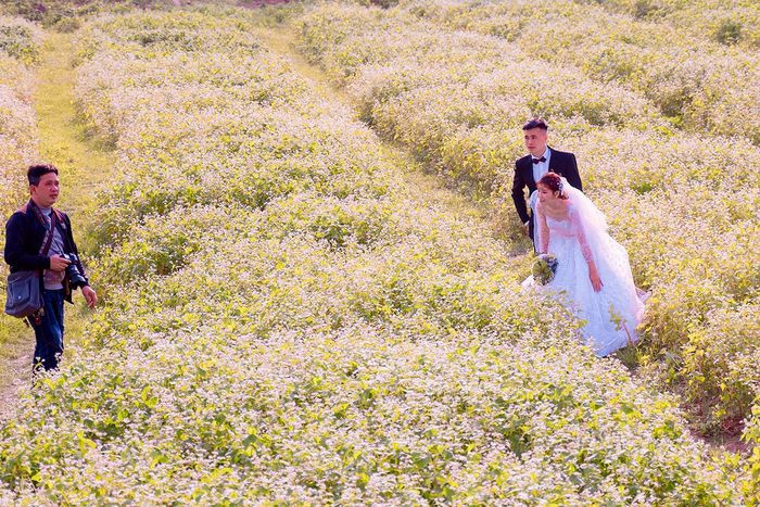 Những cặp đôi cũng tìm tới đây để lưu lại khoảnh khắc đẹp trong album ảnh cưới của mình