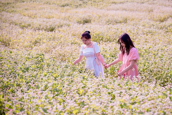 Nhiều người dân Thủ đô tranh thủ thời điểm hoa nở đẹp nhất để ghé chơi