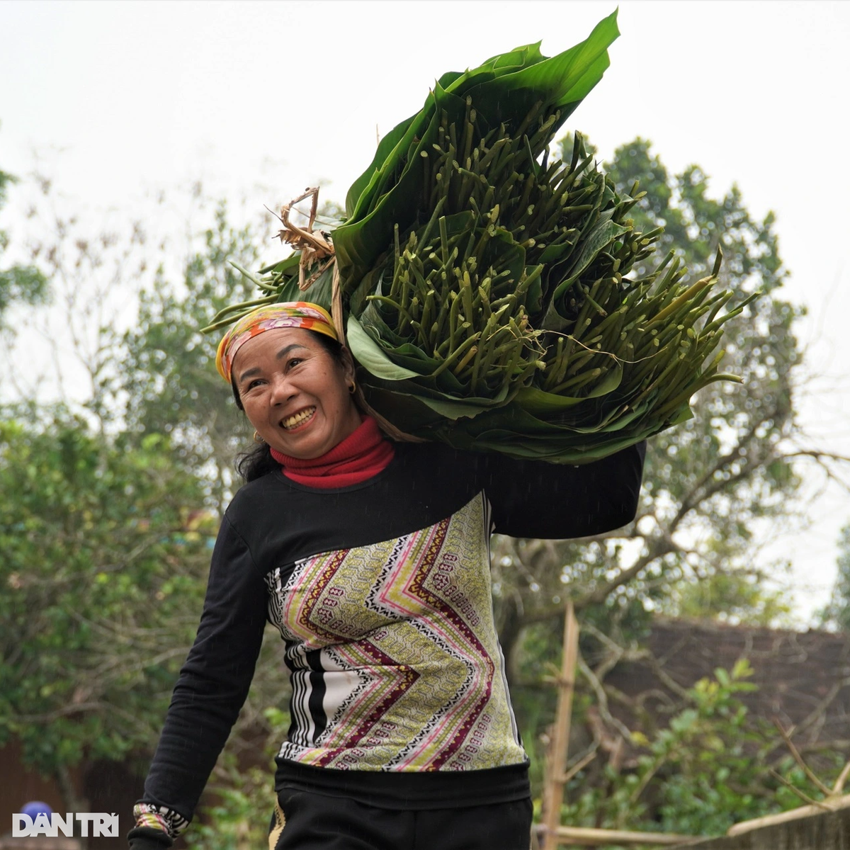 "Nghề trồng lá dong hình thành tại quê tôi từ lâu. Chúng tôi tận dụng đất vườn hoặc các khu đất trống cạnh nhà để trồng. Loại cây này giúp người dân quê tôi có cái Tết đầy đủ, ấm cúng", bà Xuyến nói.
