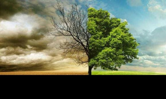 Nha khoa hoc canh bao 3 moi de doa nhan loai phai doi mat-Hinh-2