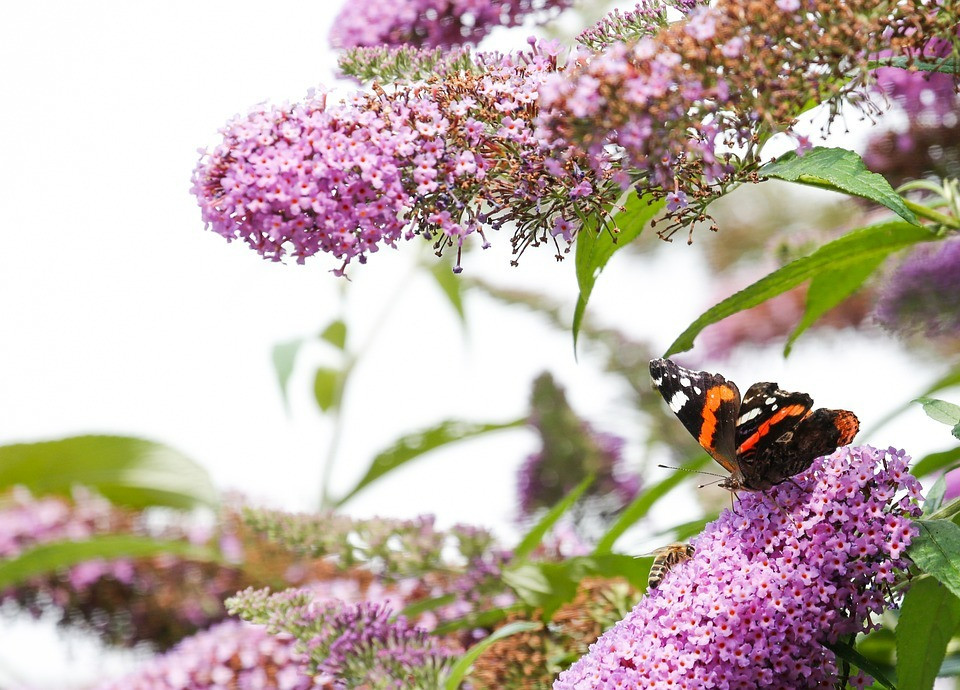 Ai sinh gio nay van menh thay doi nho lam viec phuc ca doi