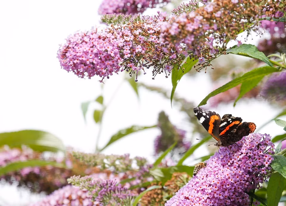 Ai sinh gio nay van menh thay doi nho lam viec phuc ca doi