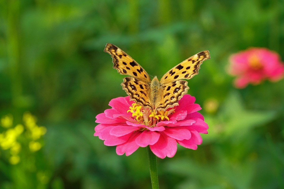 Ai sinh giờ này vận mệnh thay đổi nhờ làm việc phúc cả đời - Hình 2 Ai sinh gio nay van menh thay doi nho lam viec phuc ca doi-Hinh-2