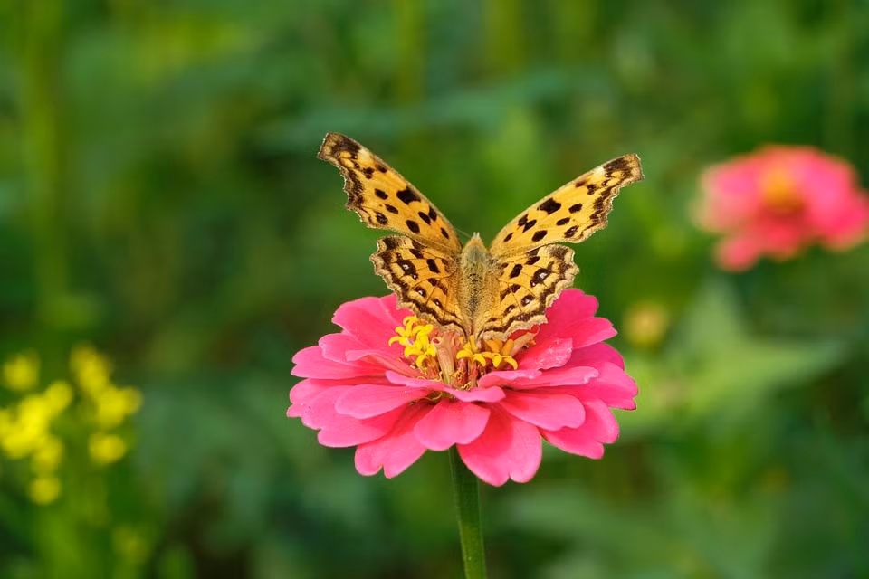 Ai sinh gio nay van menh thay doi nho lam viec phuc ca doi-Hinh-2