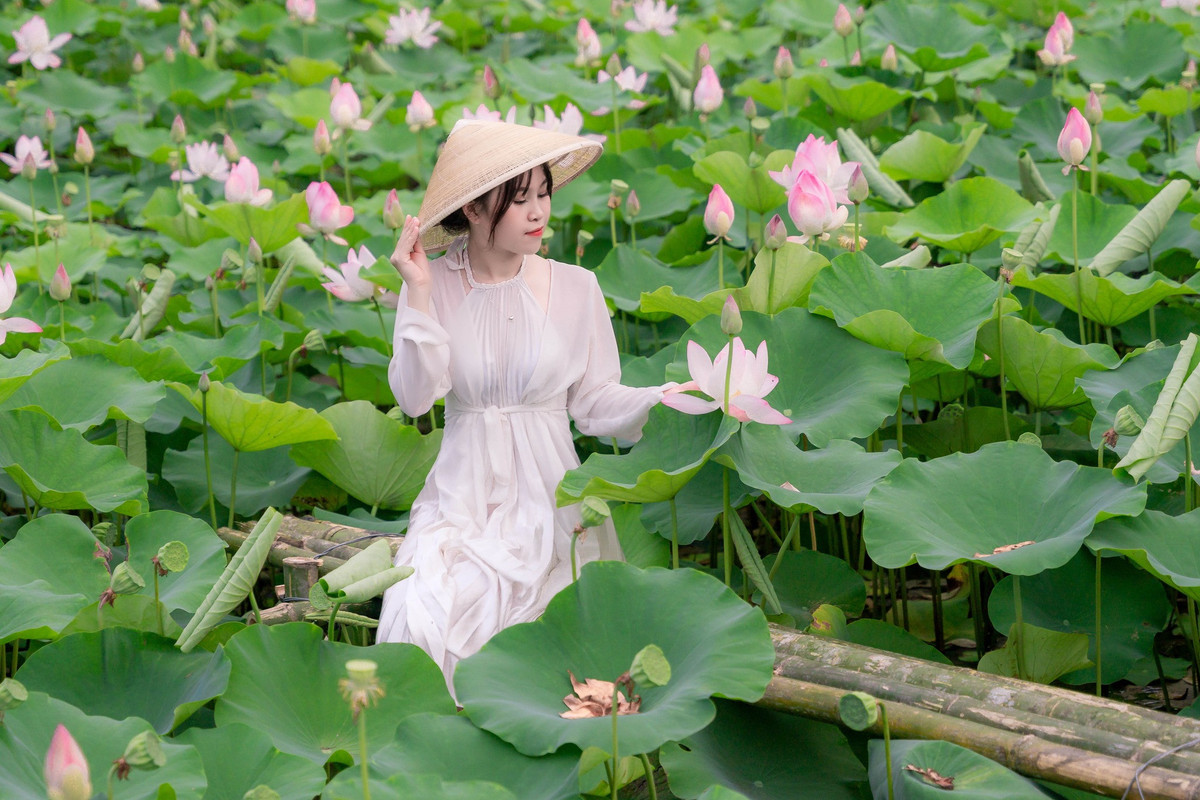 Du khach chen chan chup anh o dam sen Hang Mua, Ninh Binh-Hinh-4