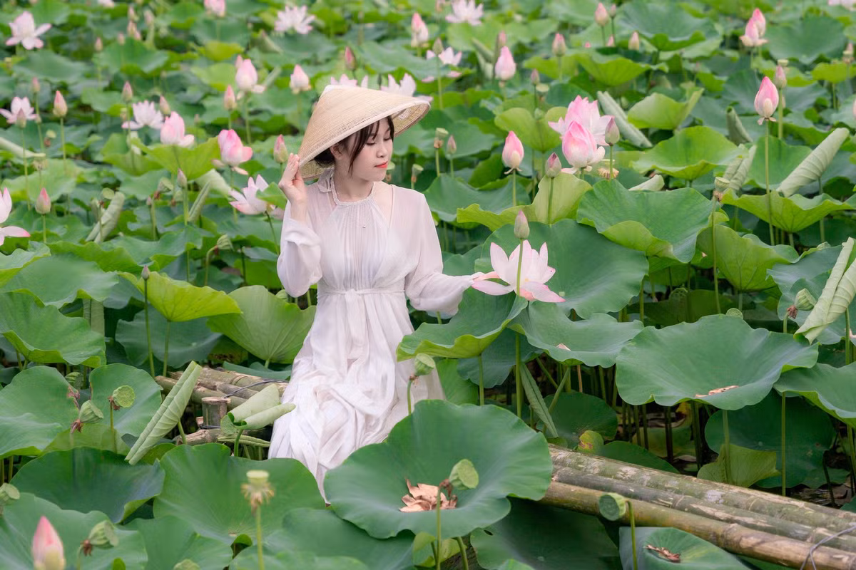 Du khach chen chan chup anh o dam sen Hang Mua, Ninh Binh-Hinh-4