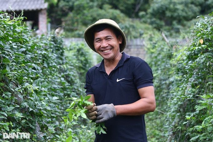 Mach nhau cho ga an sieu sang, nong dan kiem nua ty moi nam-Hinh-4