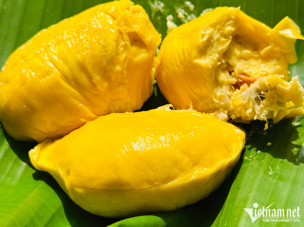 Sau rieng ngon nhat the gioi trong tai Viet Nam: 900 nghin/kg-Hinh-2