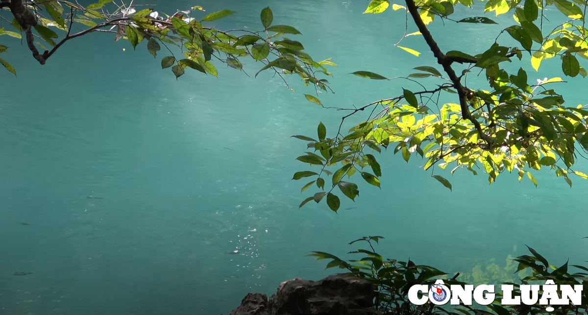 ngan ngo truoc ve dep trong xanh cua suoi le nin cao bang hinh 3