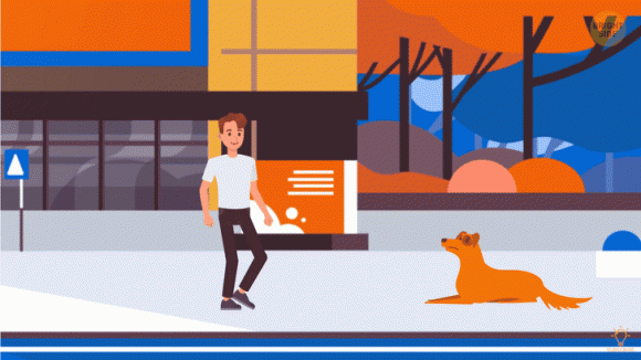 Dieu khong nen lam neu gap mot con cho di lac, tranh nguy hiem-Hinh-3