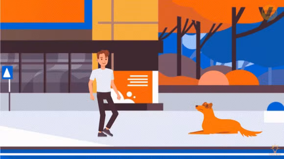 Dieu khong nen lam neu gap mot con cho di lac, tranh nguy hiem-Hinh-3