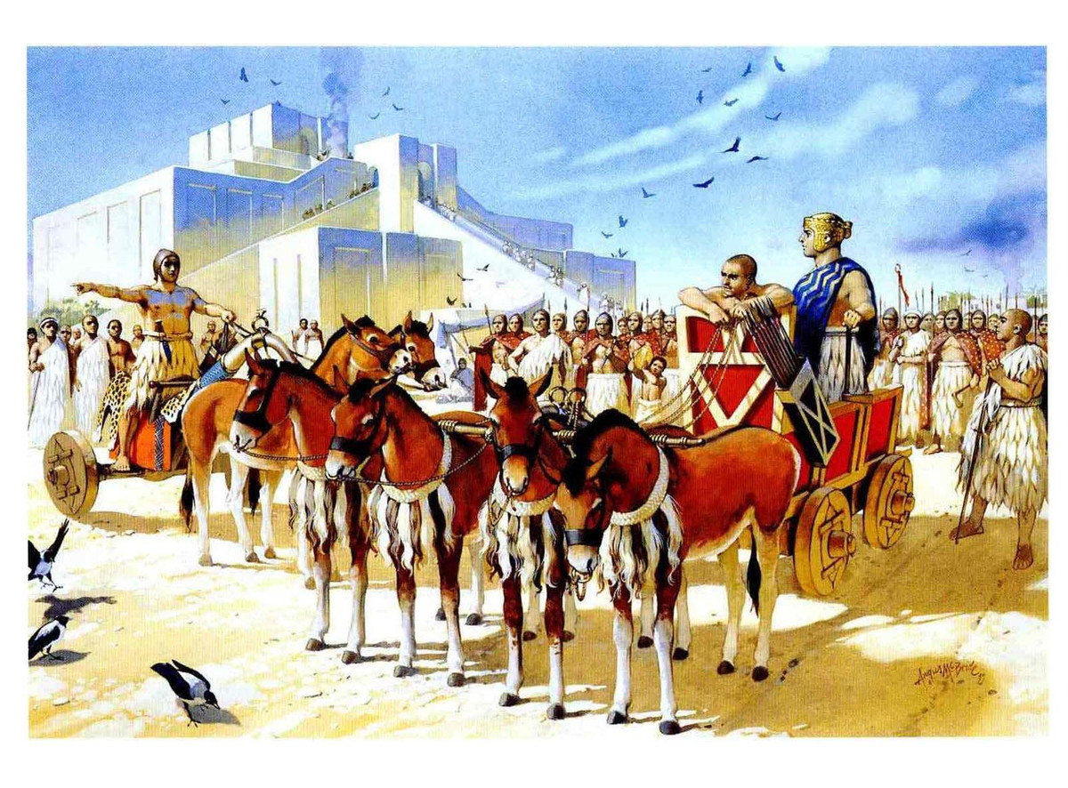 De che Sumer ra doi va diet vong nhu the nao?