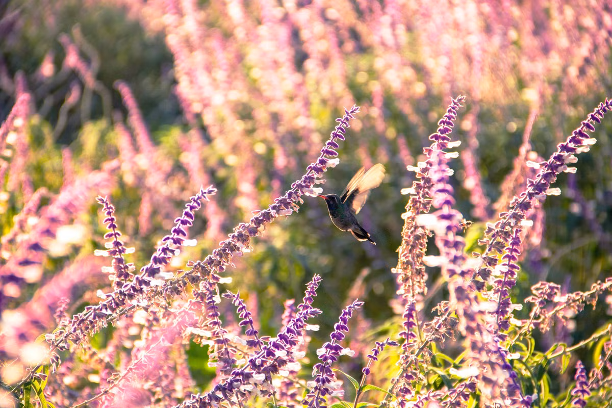 Nam 2023, 4 con giap nay muon ngheo cung kho-Hinh-4