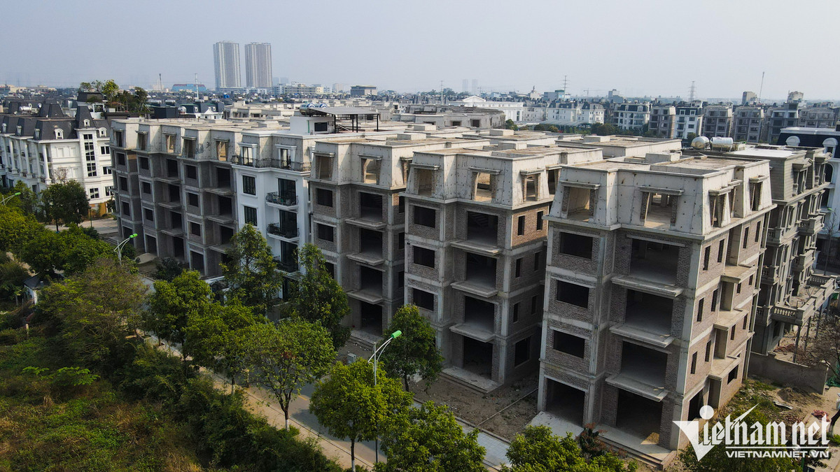 Với tổng mức đầu tư 781 tỷ đồng, dự án gồm 600 ngôi biệt thự, được thiết kế theo phong cách tân cổ điển, tuy nhiên trên 2/3 diện tích bị bỏ hoang, không người ở. 