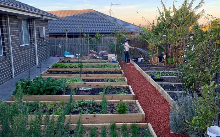 Ngoi nha nho voi khu vuon day nang cua gia dinh 7 nguoi