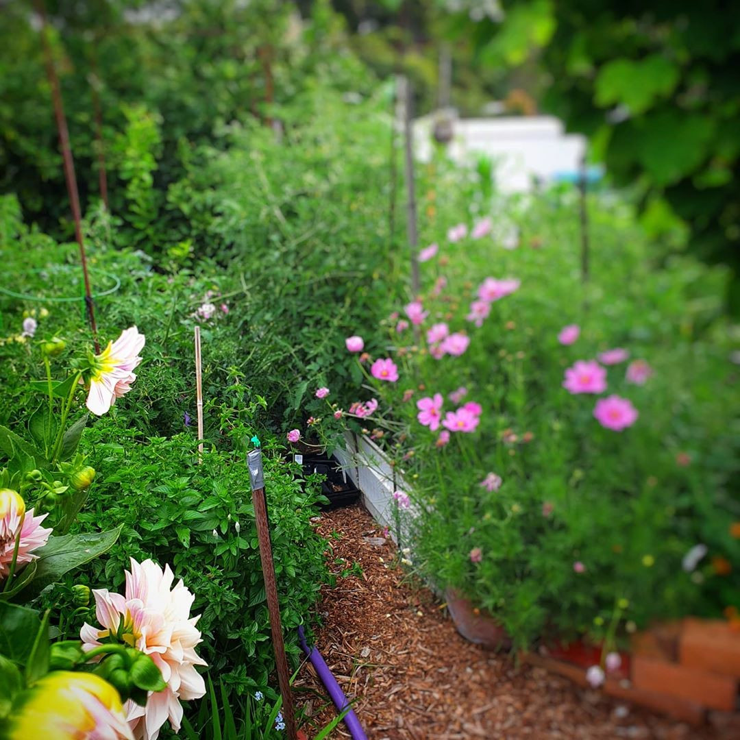 Ngoi nha nho voi khu vuon day nang cua gia dinh 7 nguoi-Hinh-4