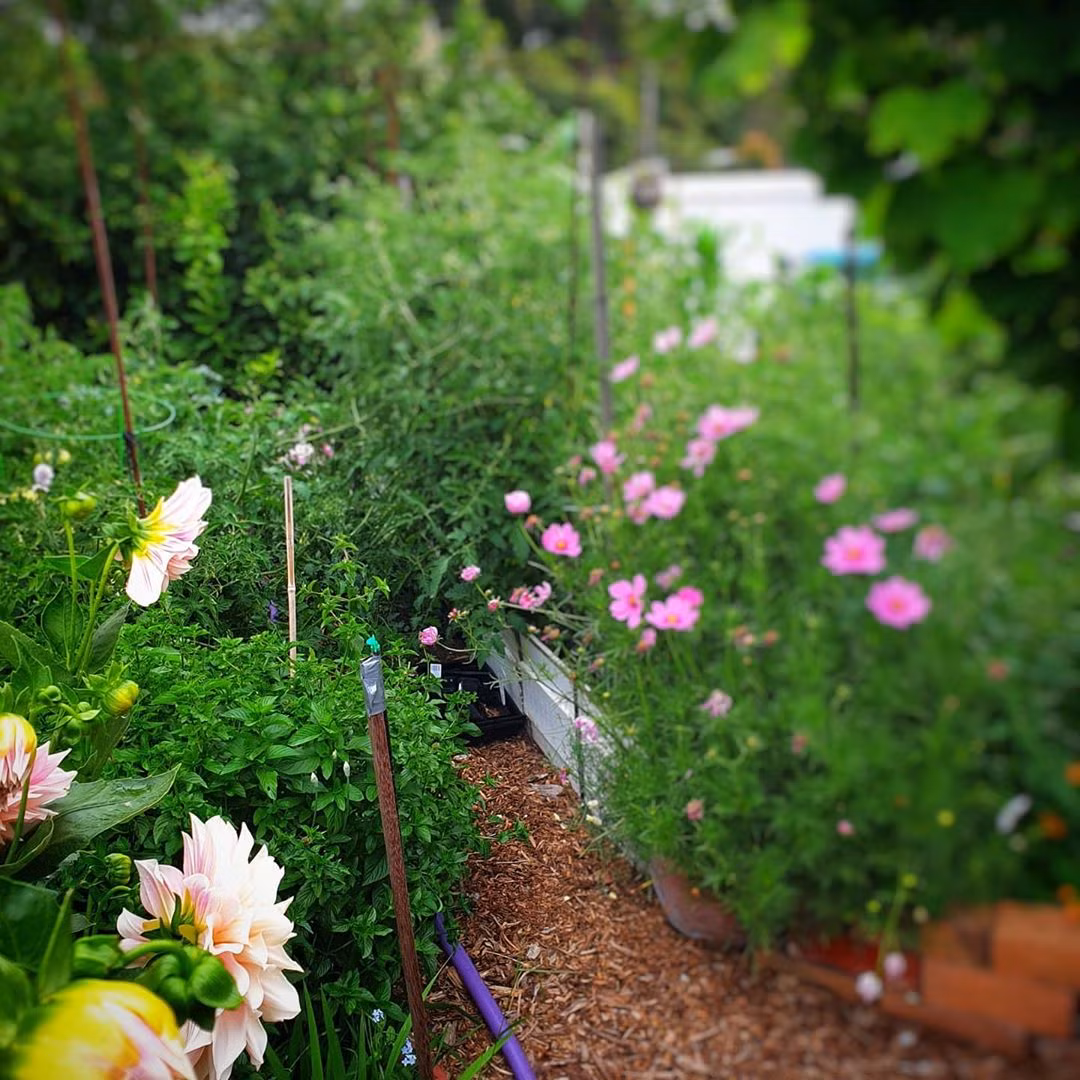 Ngoi nha nho voi khu vuon day nang cua gia dinh 7 nguoi-Hinh-4