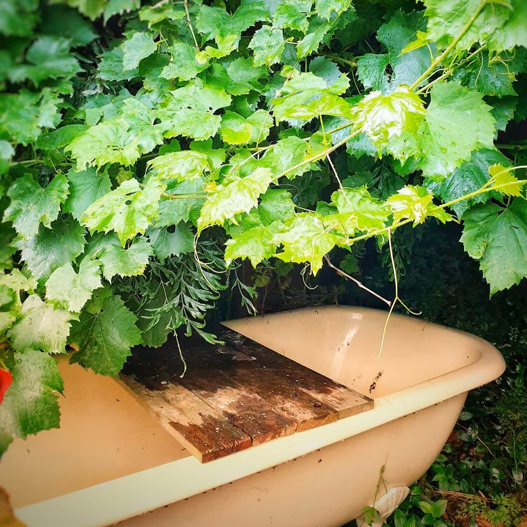 Ngoi nha nho voi khu vuon day nang cua gia dinh 7 nguoi-Hinh-8