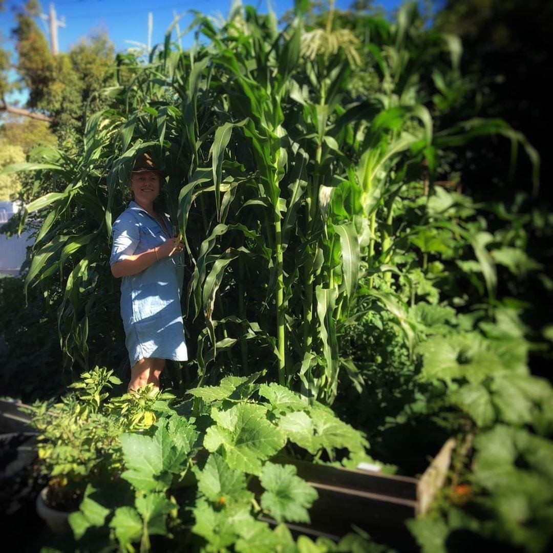 Ngoi nha nho voi khu vuon day nang cua gia dinh 7 nguoi-Hinh-2