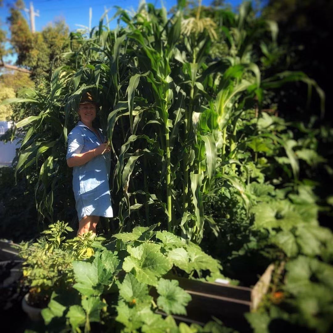 Ngoi nha nho voi khu vuon day nang cua gia dinh 7 nguoi-Hinh-2