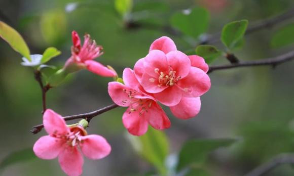  5. Tình trạng thể chất tốt và cảm thấy tràn đầy năng lượng. Một người có thể chất tốt sẽ gặp nhiều may mắn. Bởi vì tinh thần của một người mạnh mẽ, nó sẽ thu hút những điều may mắn.