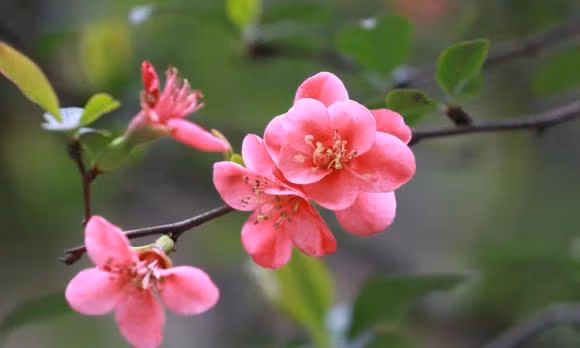  5. Tình trạng thể chất tốt và cảm thấy tràn đầy năng lượng. Một người có thể chất tốt sẽ gặp nhiều may mắn. Bởi vì tinh thần của một người mạnh mẽ, nó sẽ thu hút những điều may mắn.