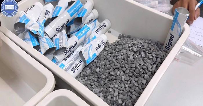 Gia phai tra cho tiep vien hang khong xach ma tuy, buon lau vang