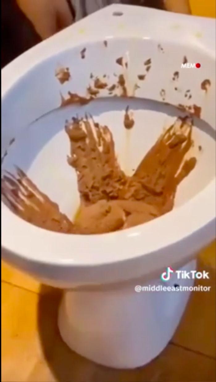 Kem socola duoc phuc vu trong bon cau, nha hang nhan bao phan no-Hinh-3