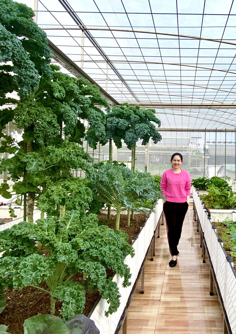 3 loại rau cực hợp gieo trồng vào mùa Thu - Hình 5 3 loai rau cuc hop gieo trong vao mua Thu-Hinh-5