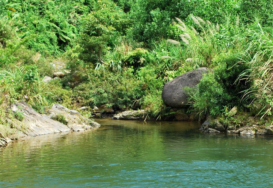  Nơi đây cách trung tâm thành phố Đà Nẵng khoảng 35km về phía Tây. Ảnh: Tiên Sa