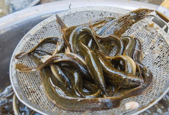 Danh sach cac loai thit phu hop nhat cho nam gioi-Hinh-6