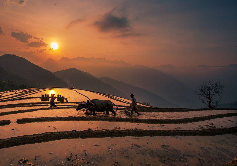 Sa Pa lap lanh mua nuoc do