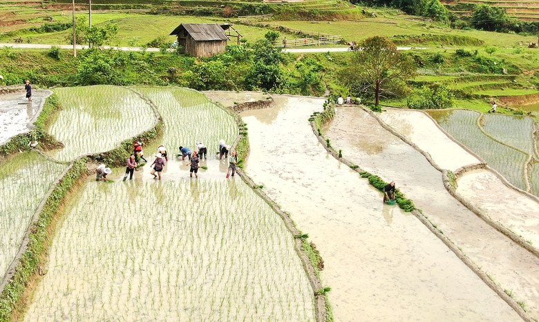 Sa Pa lap lanh mua nuoc do-Hinh-3