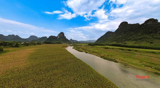 Homestay dac biet o vung “ron lu” Tan Hoa-Hinh-3