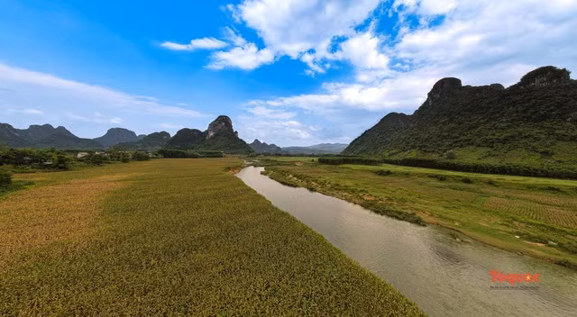 Homestay dac biet o vung “ron lu” Tan Hoa-Hinh-3