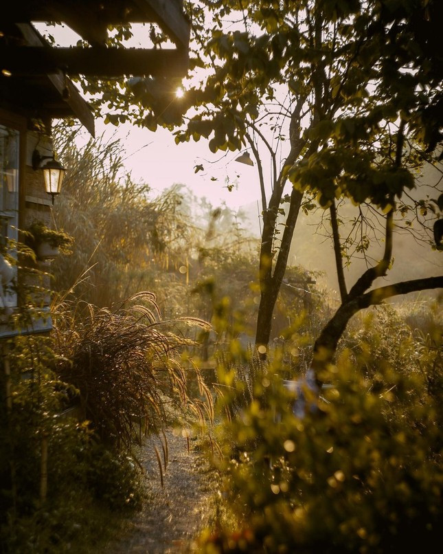 Da Lat mua hong chin do, loat homestay tho mong dam chat vintage