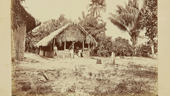 Gần 100 bức ảnh dưới góc máy của nhiếp ảnh gia người Đức từ năm 1867 đến 1868 được trưng bày tại nhà đấu giá Sotheby ở New York (Mỹ). Bộ sưu tập quý hiếm về những hình ảnh đầu tiên của rừng Amazon có giá từ 70.000-100.000 USD.