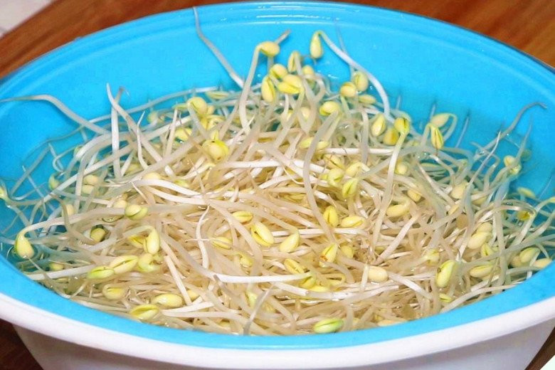 Loai rau gion ngot, gia re co tac dung thanh nhiet, giai doc