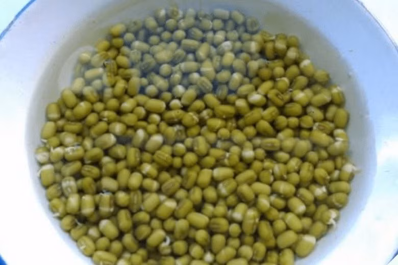 Loai rau gion ngot, gia re co tac dung thanh nhiet, giai doc-Hinh-2