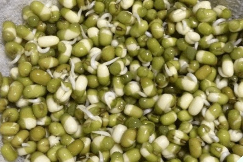 Loại rau giòn ngọt, giá rẻ có tác dụng thanh nhiệt, giải độc - Hình 3 Loai rau gion ngot, gia re co tac dung thanh nhiet, giai doc-Hinh-3