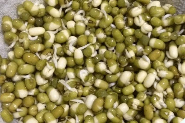 Loai rau gion ngot, gia re co tac dung thanh nhiet, giai doc-Hinh-3