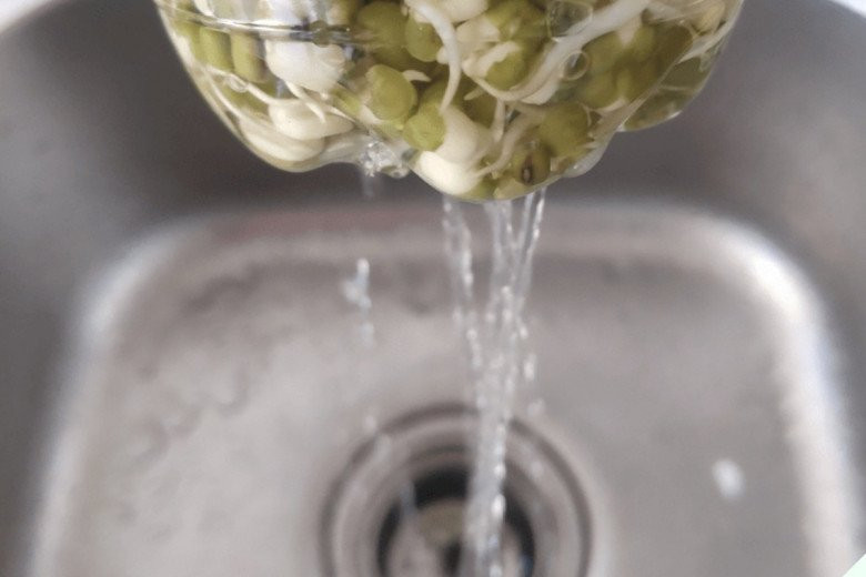 Loại rau giòn ngọt, giá rẻ có tác dụng thanh nhiệt, giải độc - Hình 5 Loai rau gion ngot, gia re co tac dung thanh nhiet, giai doc-Hinh-5