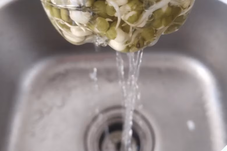 Loai rau gion ngot, gia re co tac dung thanh nhiet, giai doc-Hinh-5