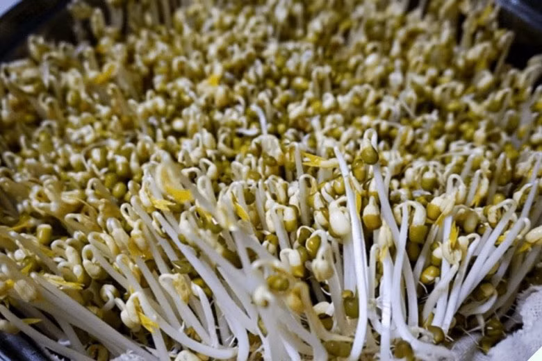 Loai rau gion ngot, gia re co tac dung thanh nhiet, giai doc-Hinh-4