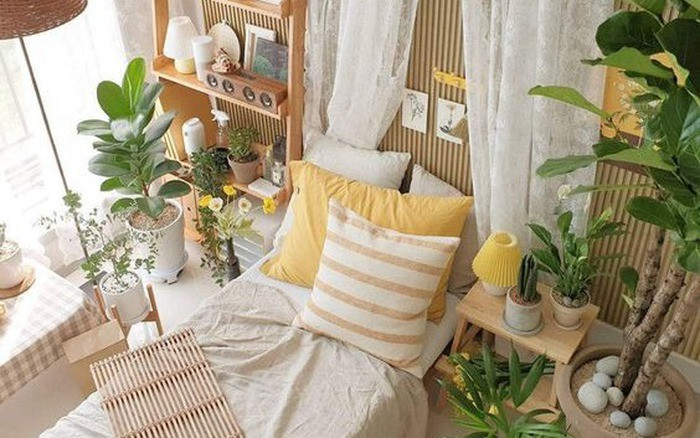 Vo chong tre xoay xo khi lan dau ganh no mua nha